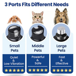 Product with three ports for different pet sizes and their respective features on a white background at Pet Servo