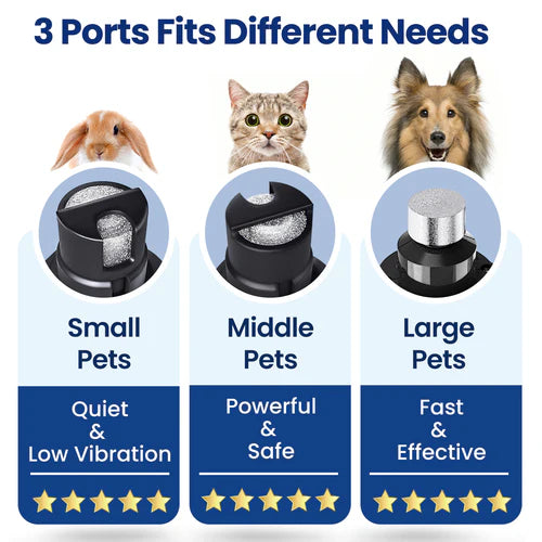 Product with three ports for different pet sizes and their respective features on a white background at Pet Servo