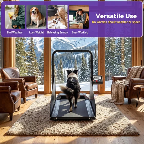 Dog on a treadmill in a home setting with a view of snowy mountains at Pet Servo