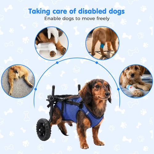 A dachshund wearing a blue mesh dog wheelchair harness with black rear wheels, shown on a light blue background with bone motifs and four circular inset photos demonstrating dog wound care and mobility support at Pet Servo