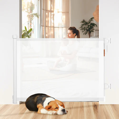 Dog lying on the floor next to a white pet gate with a woman in the background at Pet Servo