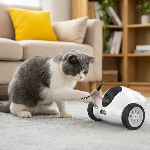 Cat playing with a toy car on a carpeted floor at Pet Servo