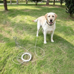 A yellow Labrador retriever stands on a grassy lawn wearing a black collar with a white leash attached. The leash is coiled on the grass nearby, with trees and park elements visible in the background.