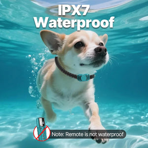 Dog swimming underwater with 'IPX7 Waterproof' text and a note about a remote not being waterproof at Pet Servo