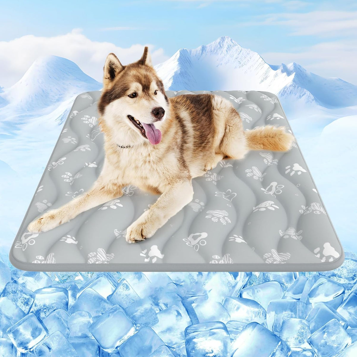Dog lying on a cooling pad with a snowy mountain background