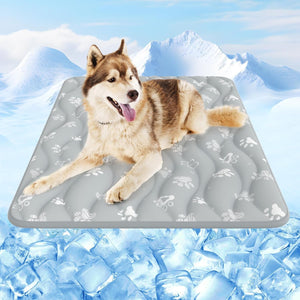 Dog lying on a cooling pad with a snowy mountain background