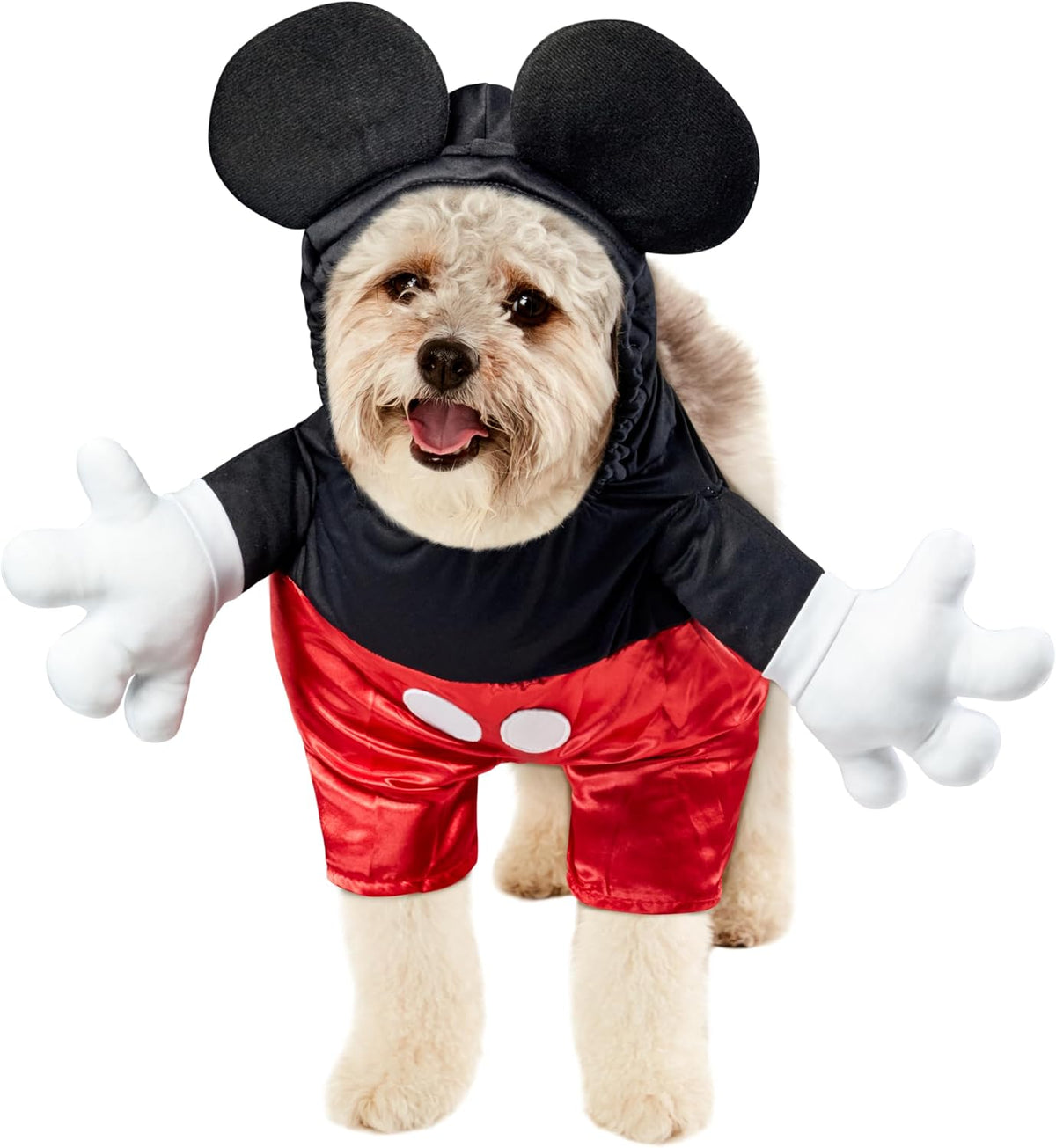 A small fluffy dog wearing a Mickey Mouse-inspired costume with black mouse ears, a black top, red shorts, and white gloves, photographed on a plain white background at Pet Servo