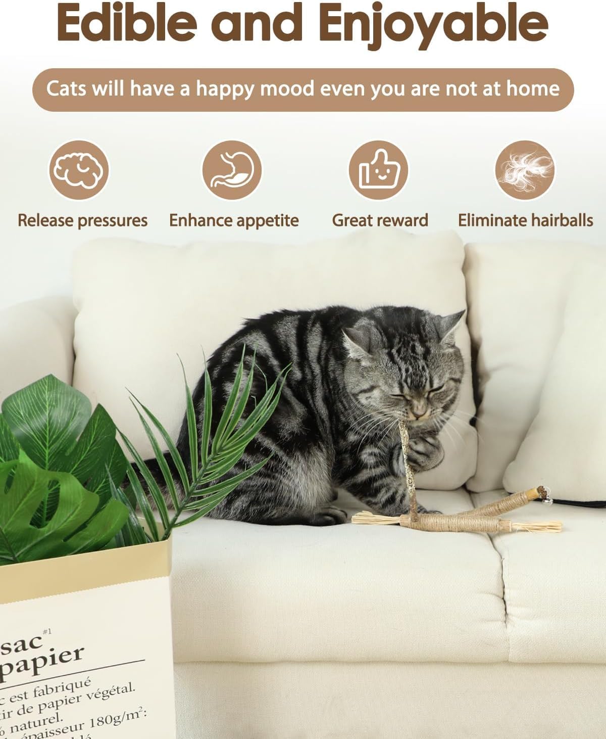 Cat lounging on a couch with text about its benefits for cats' well-being at Pet Servo