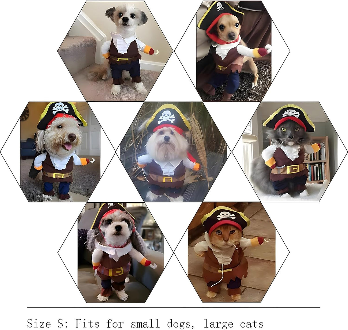 Collage of small dogs and cats wearing pirate costumes in various poses at Pet Servo