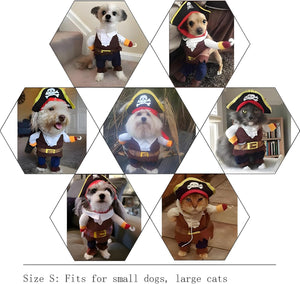 Collage of small dogs and cats wearing pirate costumes in various poses at Pet Servo