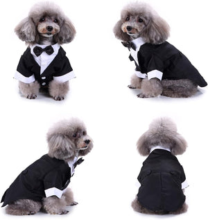 Dog wearing a black tuxedo with white accents on a white background
