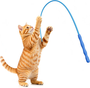 Cat playing with a blue cat toy on a white background at Pet Servo