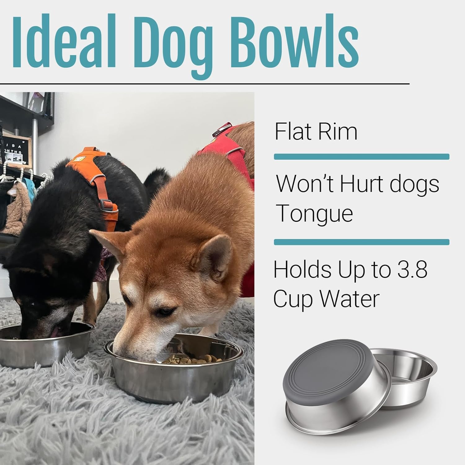 Two dogs eating from metal bowls with text about ideal dog bowls on a white background at Pet Servo