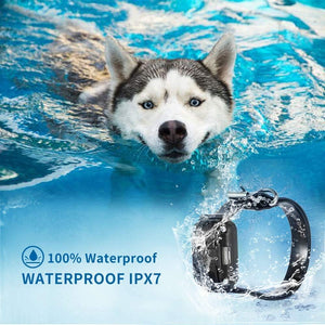 Dog swimming in water with a waterproof dog collar labeled '100% Waterproof WATERPROOF IPX7' at Pet Servo