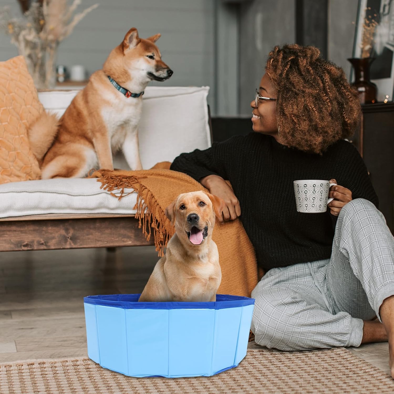 Woman sitting on the floor with two dogs, one in a blue pet bed, in a living room setting at Pet Servo