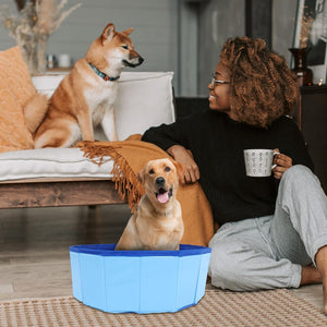 Woman sitting on the floor with two dogs, one in a blue pet bed, in a living room setting at Pet Servo