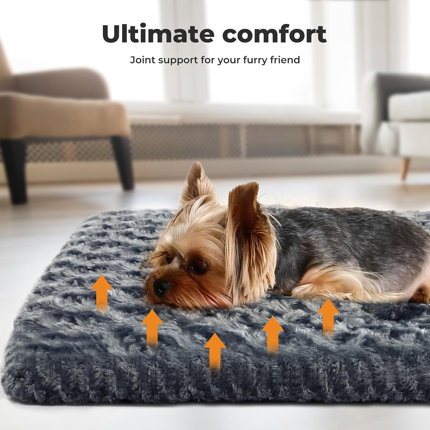 Pawz Soft Swirl Pattern Dog Bed Mat Plush Velvet with Machine Washable at Pet Servo