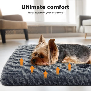 Pawz Soft Swirl Pattern Dog Bed Mat Plush Velvet with Machine Washable at Pet Servo
