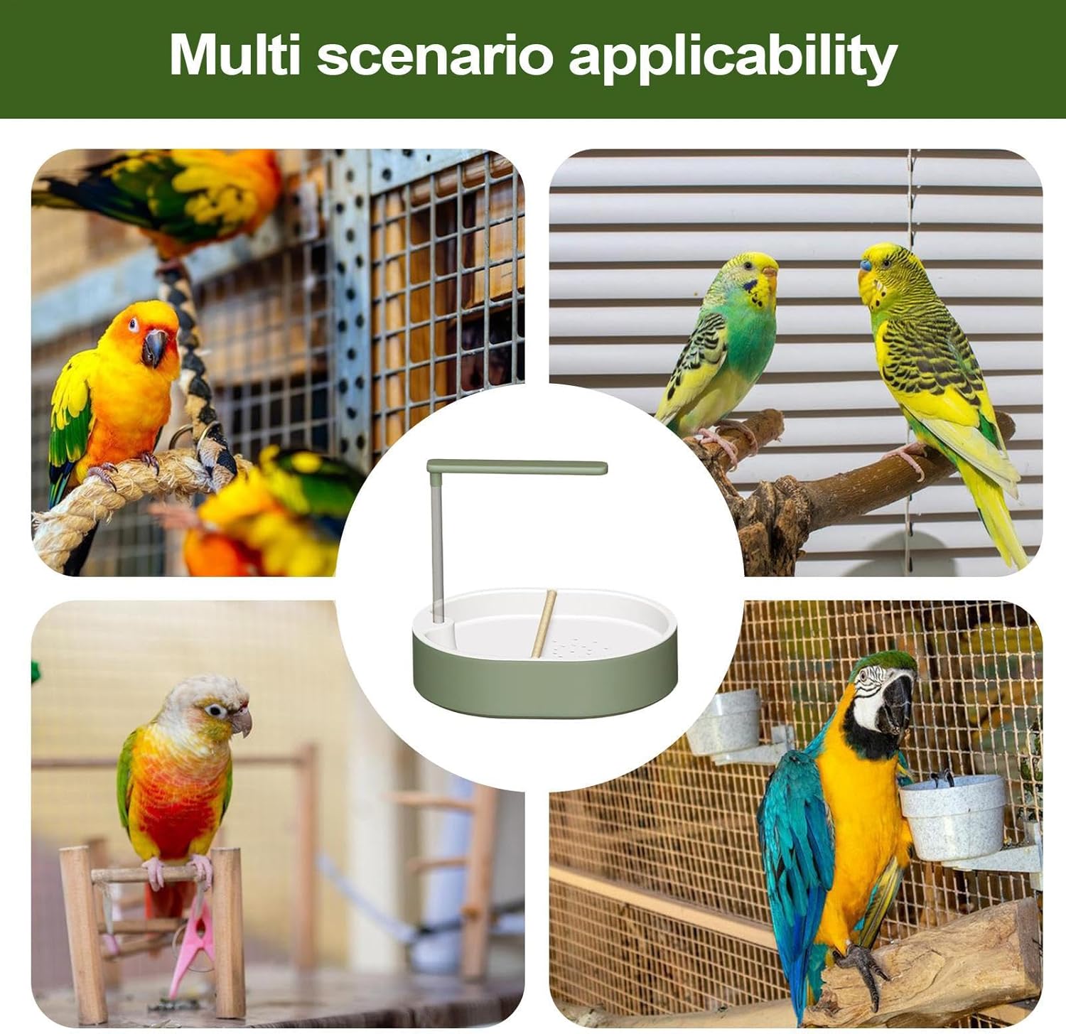 Collage of parrots in various settings with a focus on a bird feeder at Pet Servo