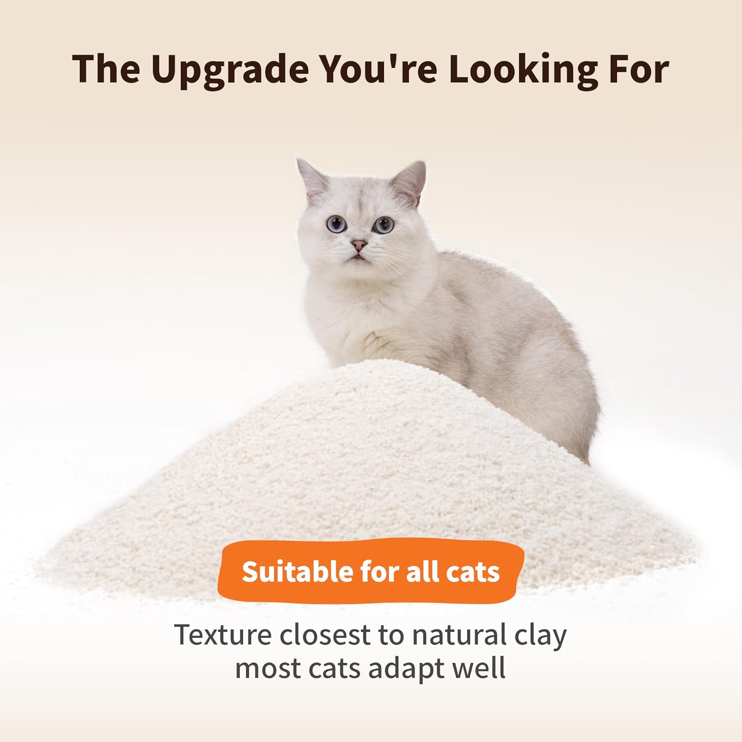 Cat sitting on a pile of cat litter with text about suitability for all cats and natural clay texture at Pet Servo