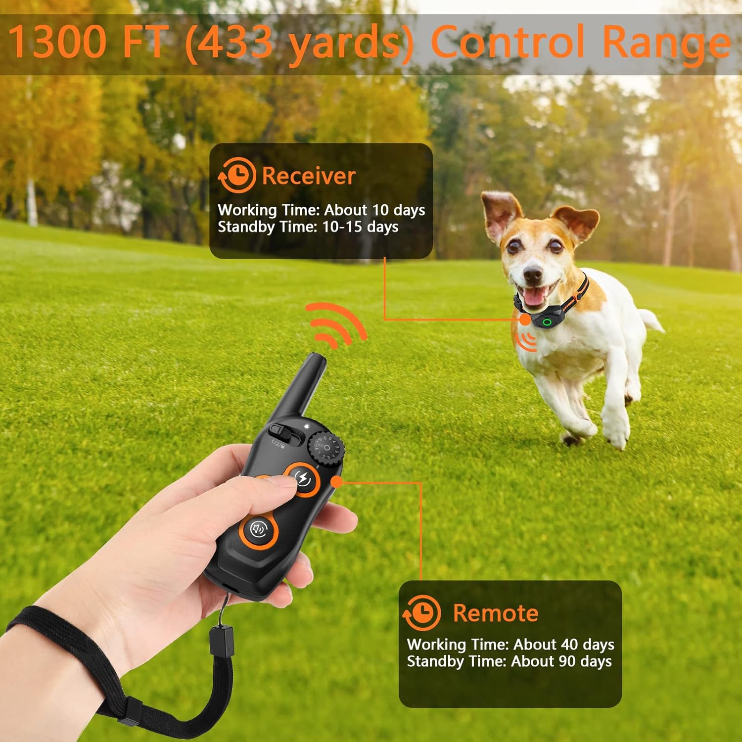 Dog training remote control with receiver and dog on grass at Pet Servo
