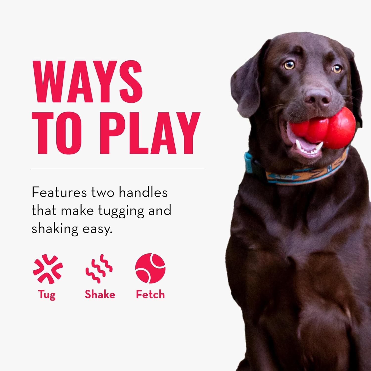 A dark brown dog on the right holds a red ball in its mouth against a light gray background, with large pink text reading 'WAYS TO PLAY' and smaller text describing features. The dog wears a patterned collar, and the graphic includes icons labeled Tug, Shake, and Fetch at Pet Servo