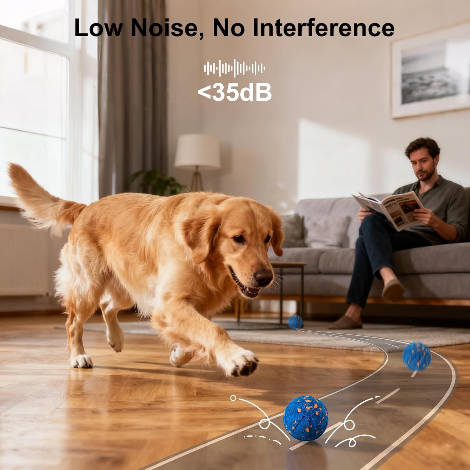 Dog running on a mat with a man reading a book in the background, emphasizing low noise and interference at Pet Servo