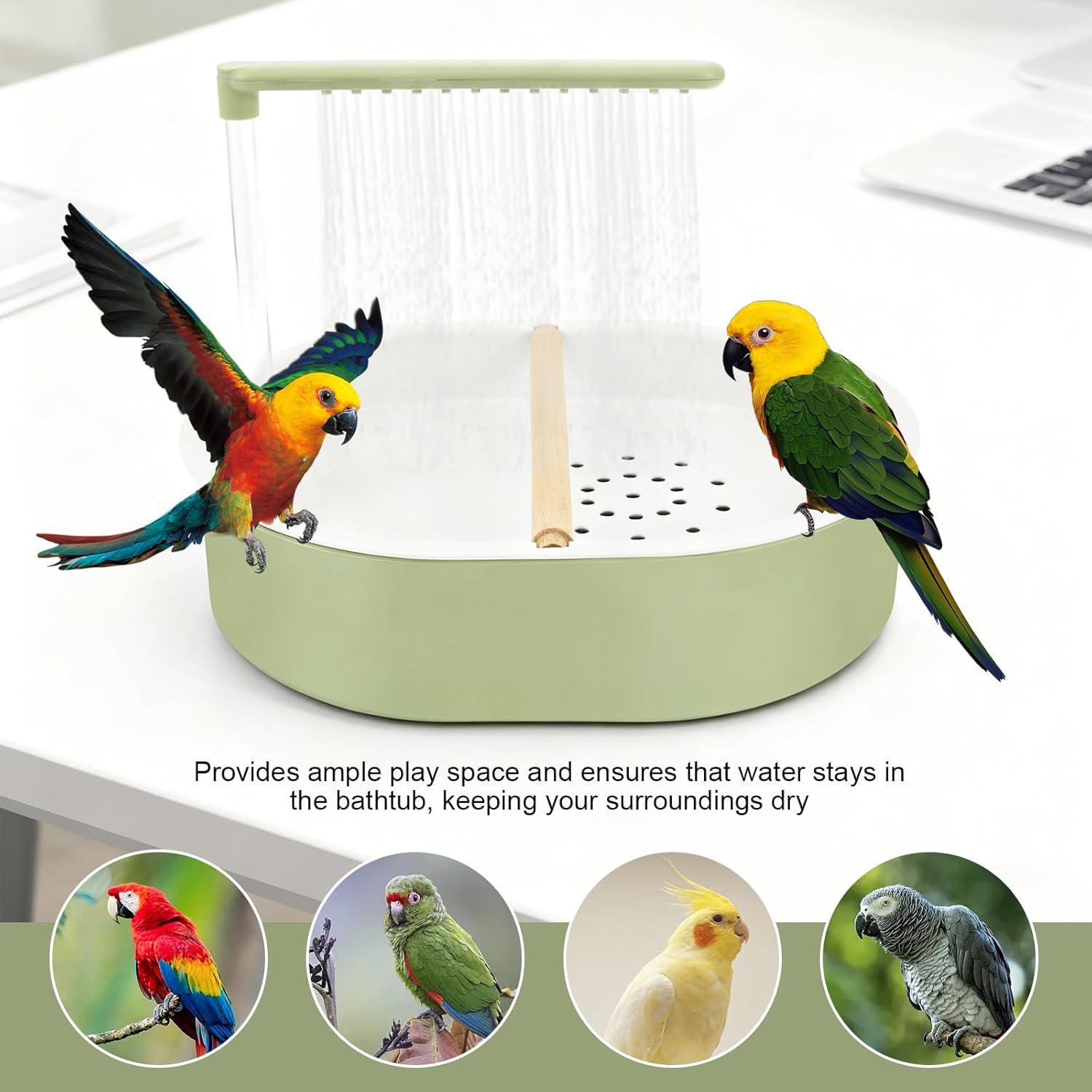 Two parrots on a green bird play stand with text about bird care at Pet Servo