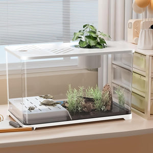 Small terrarium with plants and small rocks on a desk at Pet Servo