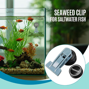 Seaweed clip for saltwater fish in an aquarium setting with close-up of product at Pet Servo