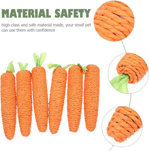Orange carrot-shaped pet toys with green tops on a white background, featuring close-up details of the material safety at Pet Servo