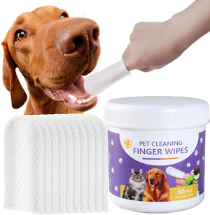 A jar of pet cleaning finger wipes alongside a stack of white wipes, with a dog licking its mouth and a human hand using the wipes on its paw against a white background at Pet Servo