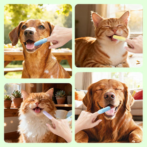 Collage of a dog and cat being given dental chews with a green border at Pet Servo