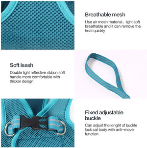Teal pet harness with breathable mesh, soft leash, and adjustable buckle on a white background at Pet Servo