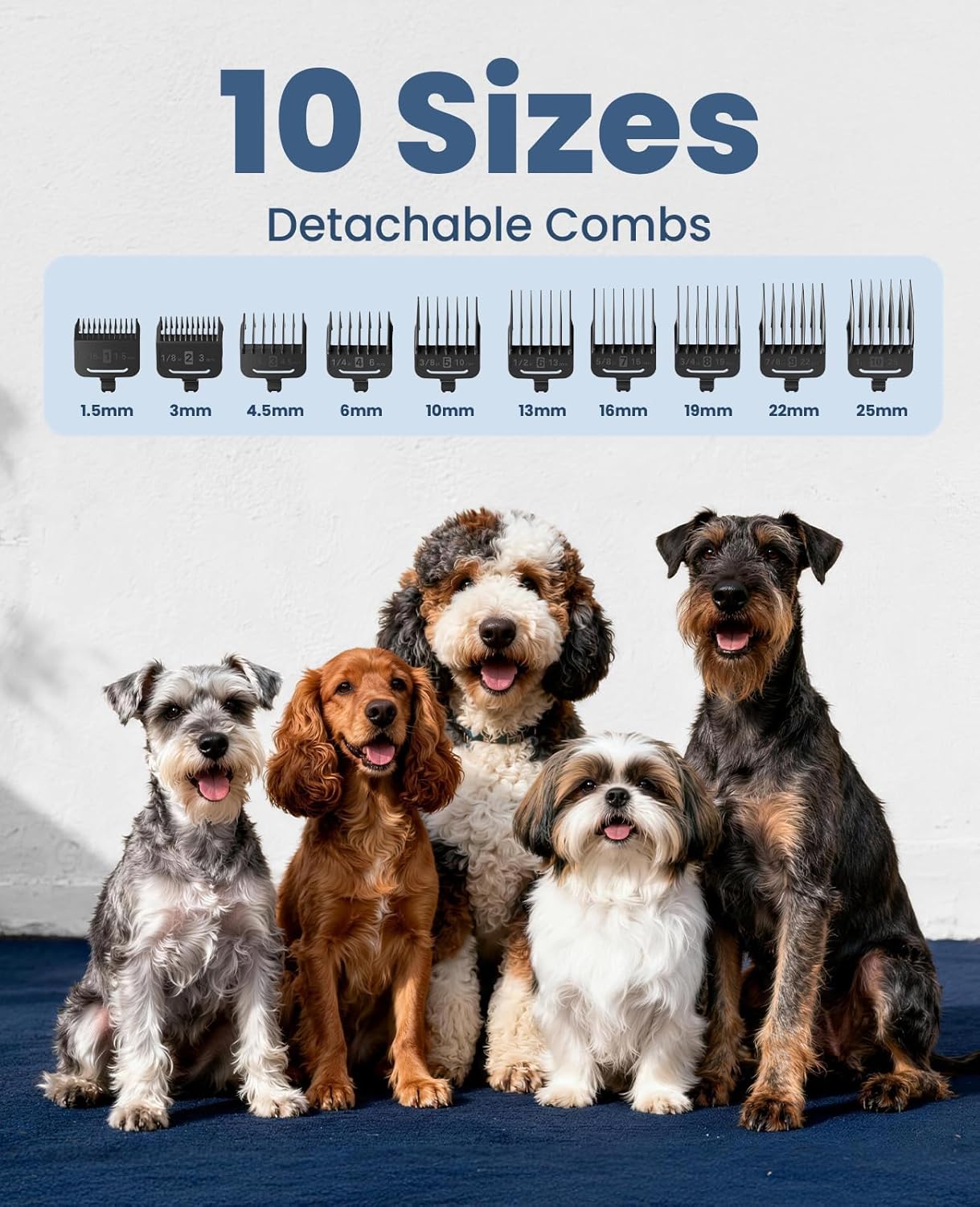 Five dogs of different breeds sitting together with a display of detachable combs above them at Pet Servo