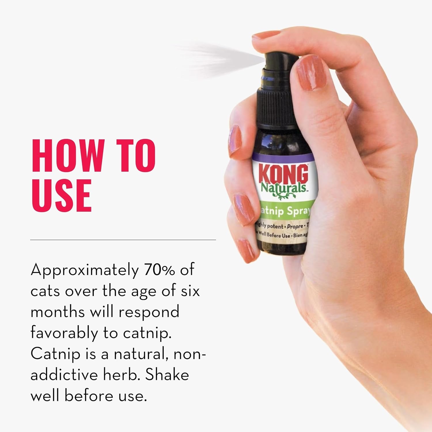 Hand holding a KONG Catnip Spray bottle with text on how to use it at Pet Servo