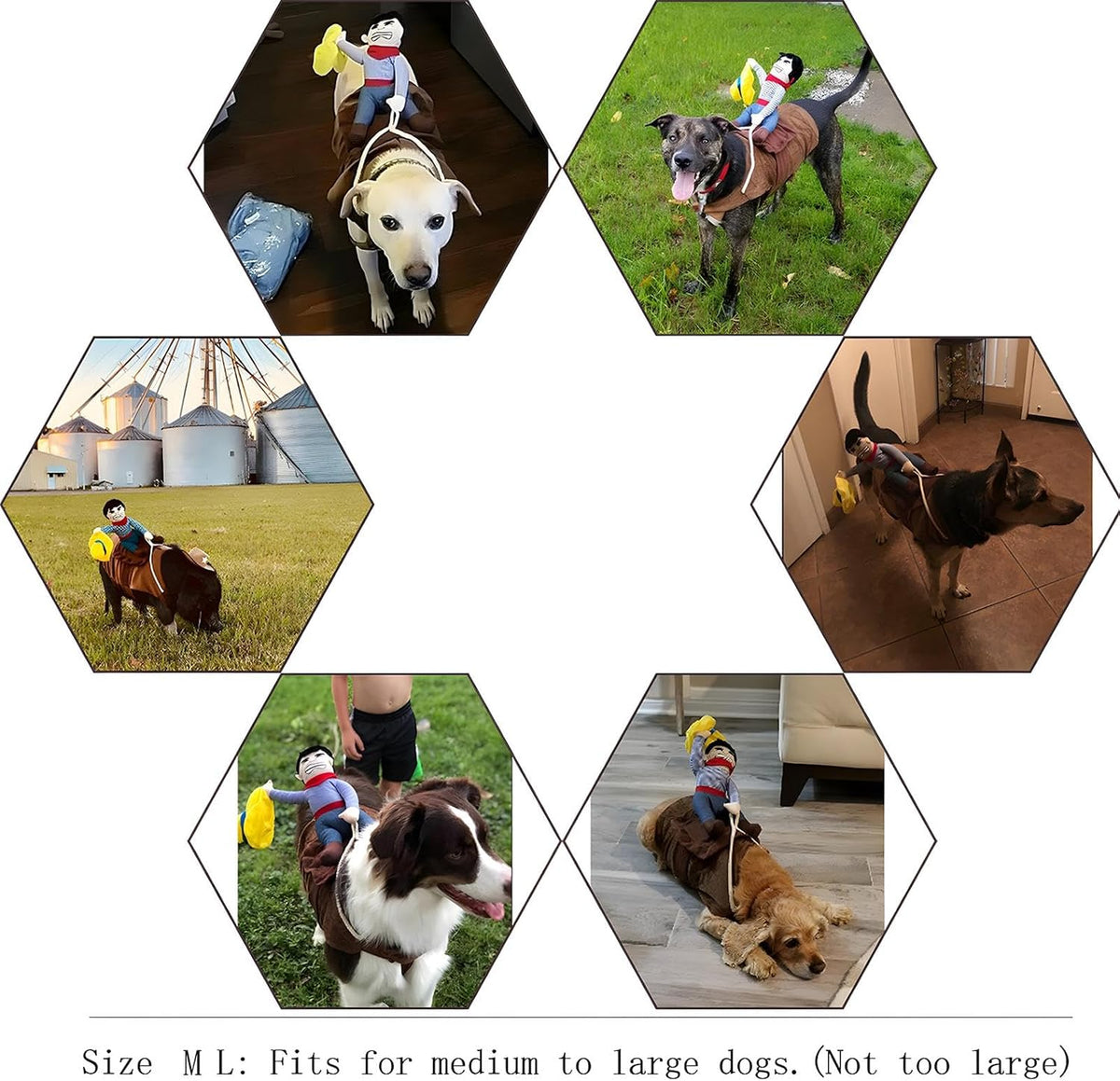 Hexagonal grid of images featuring dogs with small children on their backs, set against various backgrounds.