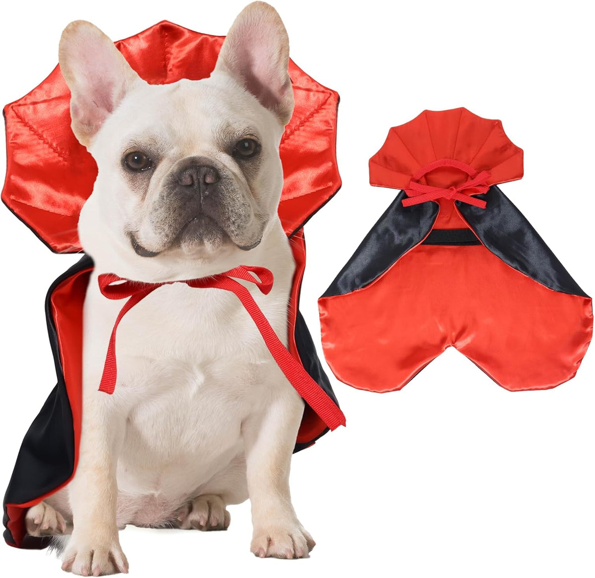 Dog wearing a red and black cape with a matching dog outfit on a white background