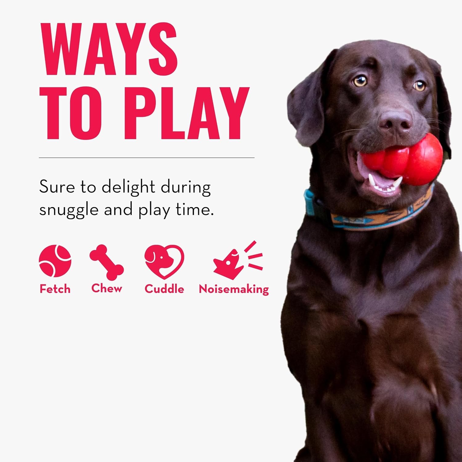 Dog playing with a red ball, surrounded by text about ways to play, on a white background at Pet Servo