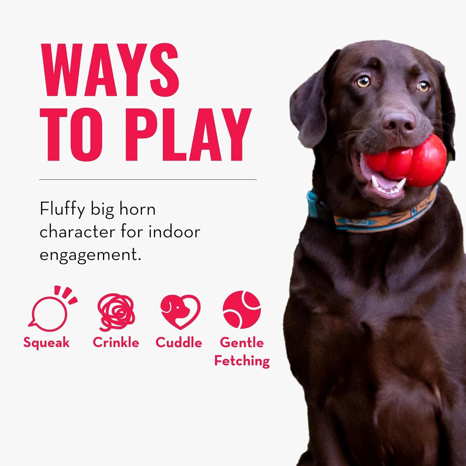 Dog playing with a red ball, surrounded by text and icons about ways to play at Pet Servo