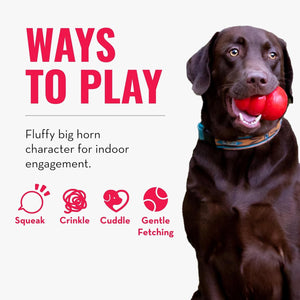 Dog playing with a red ball, surrounded by text and icons about ways to play at Pet Servo