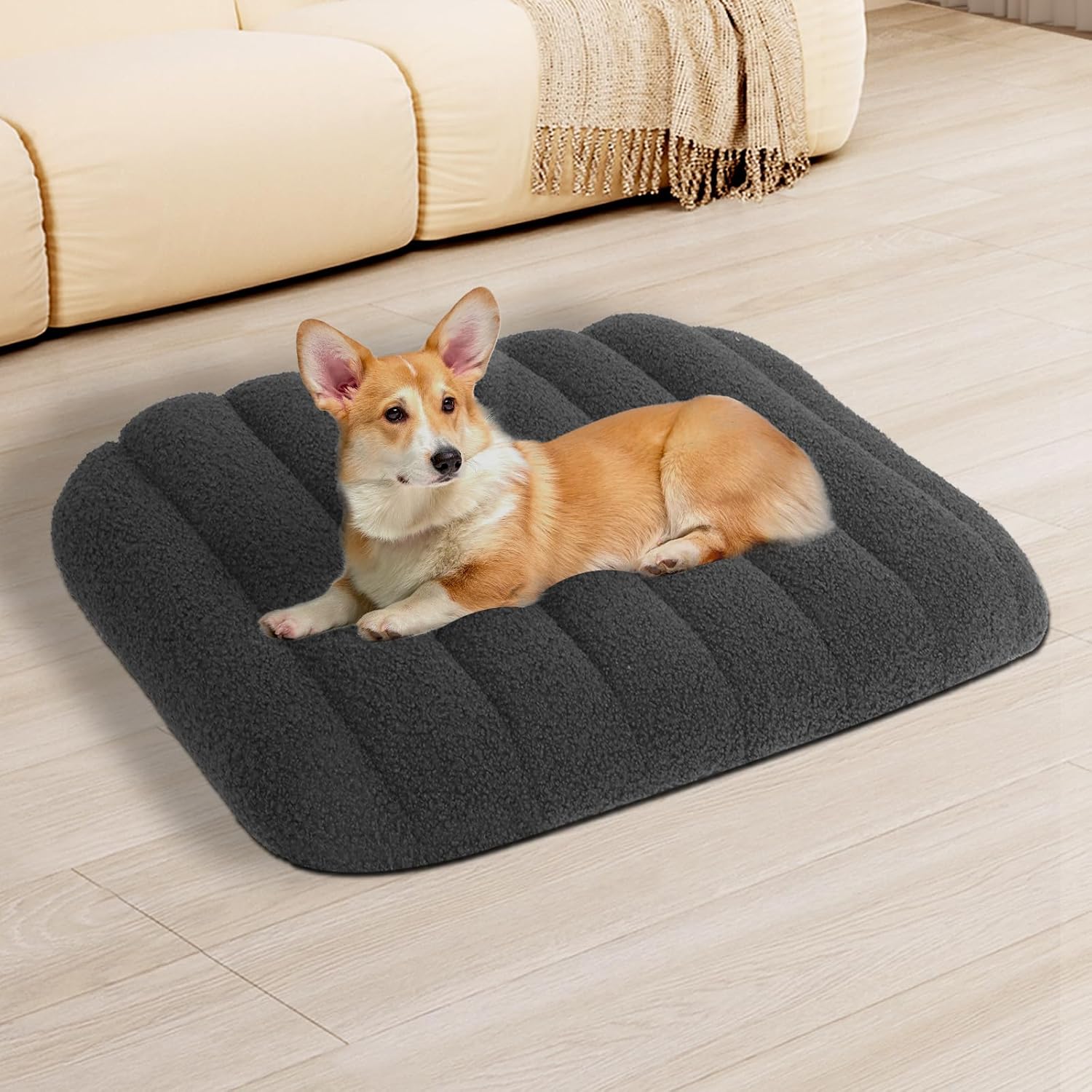 Dog lying on a dark gray pet bed in a living room at Pet Servo