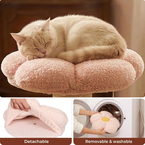 Pawz Scratcher Bed with Thick Natural Sisal Rope and Dangling Ball for Indoor Cats at Pet Servo