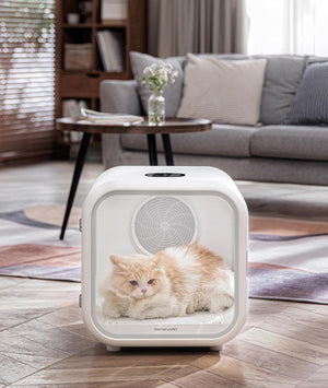 Pet bed with a cat design in a living room setting