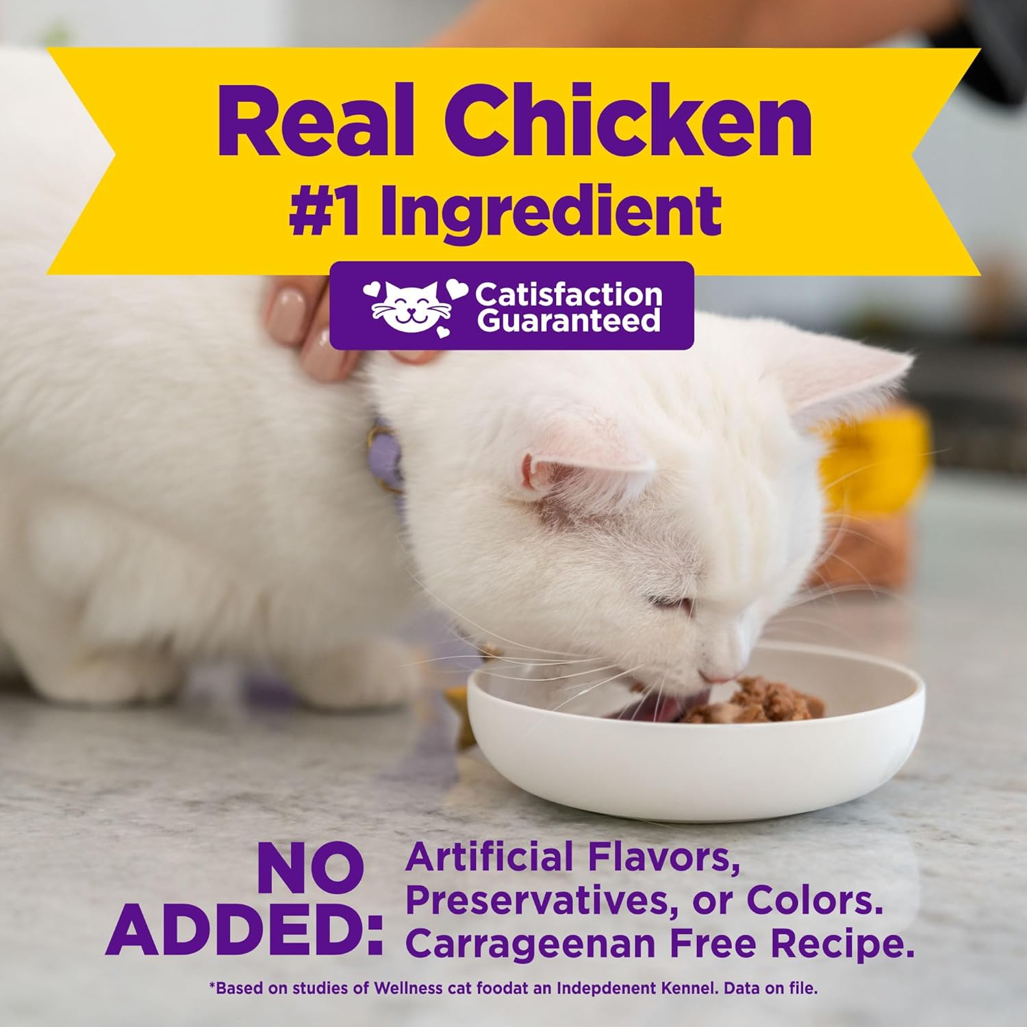 Cat eating from a bowl with text about real chicken being the #1 ingredient and no added artificial flavors, preservatives, or colors at Pet Servo