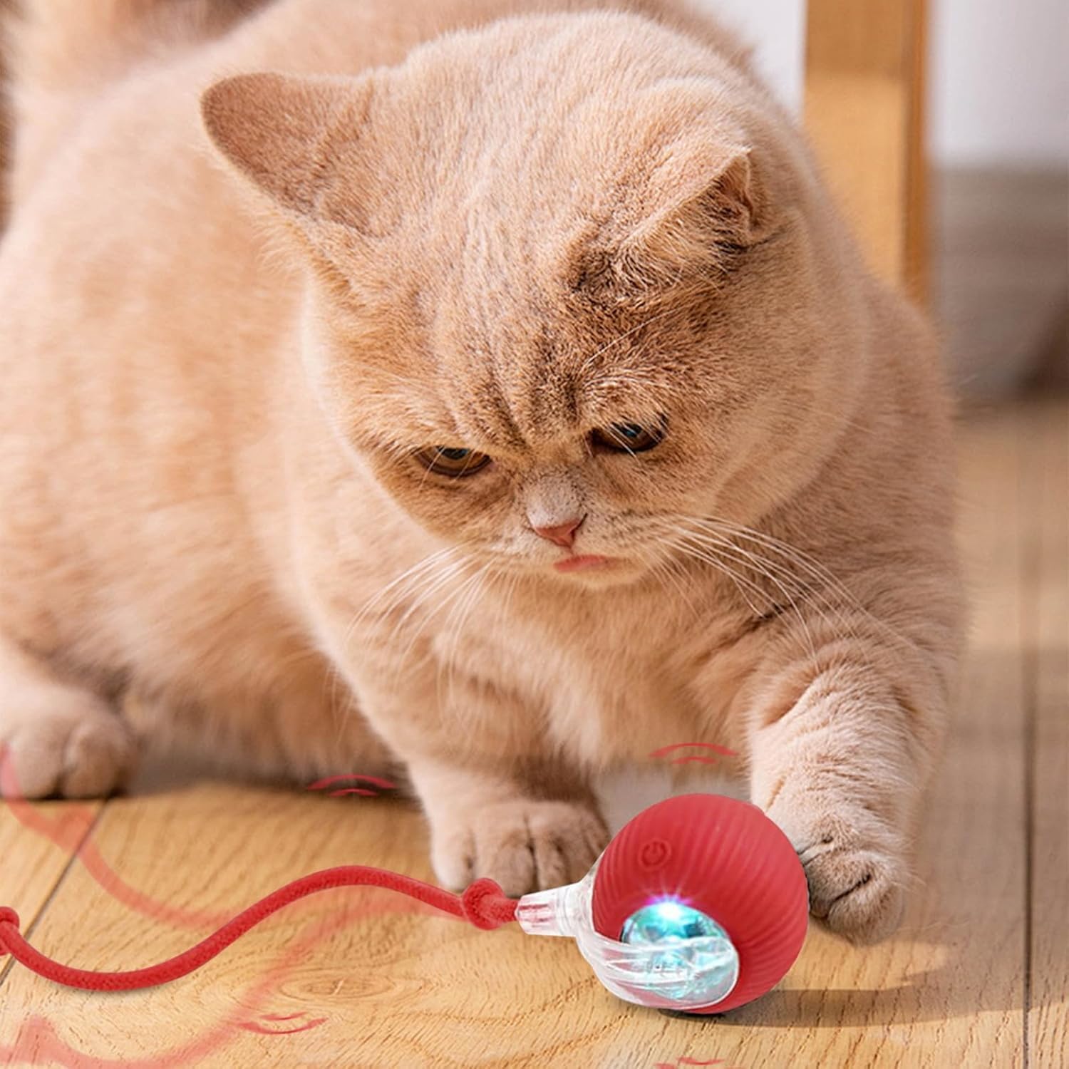 Cat playing with a red and blue toy on a wooden floor at Pet Servo
