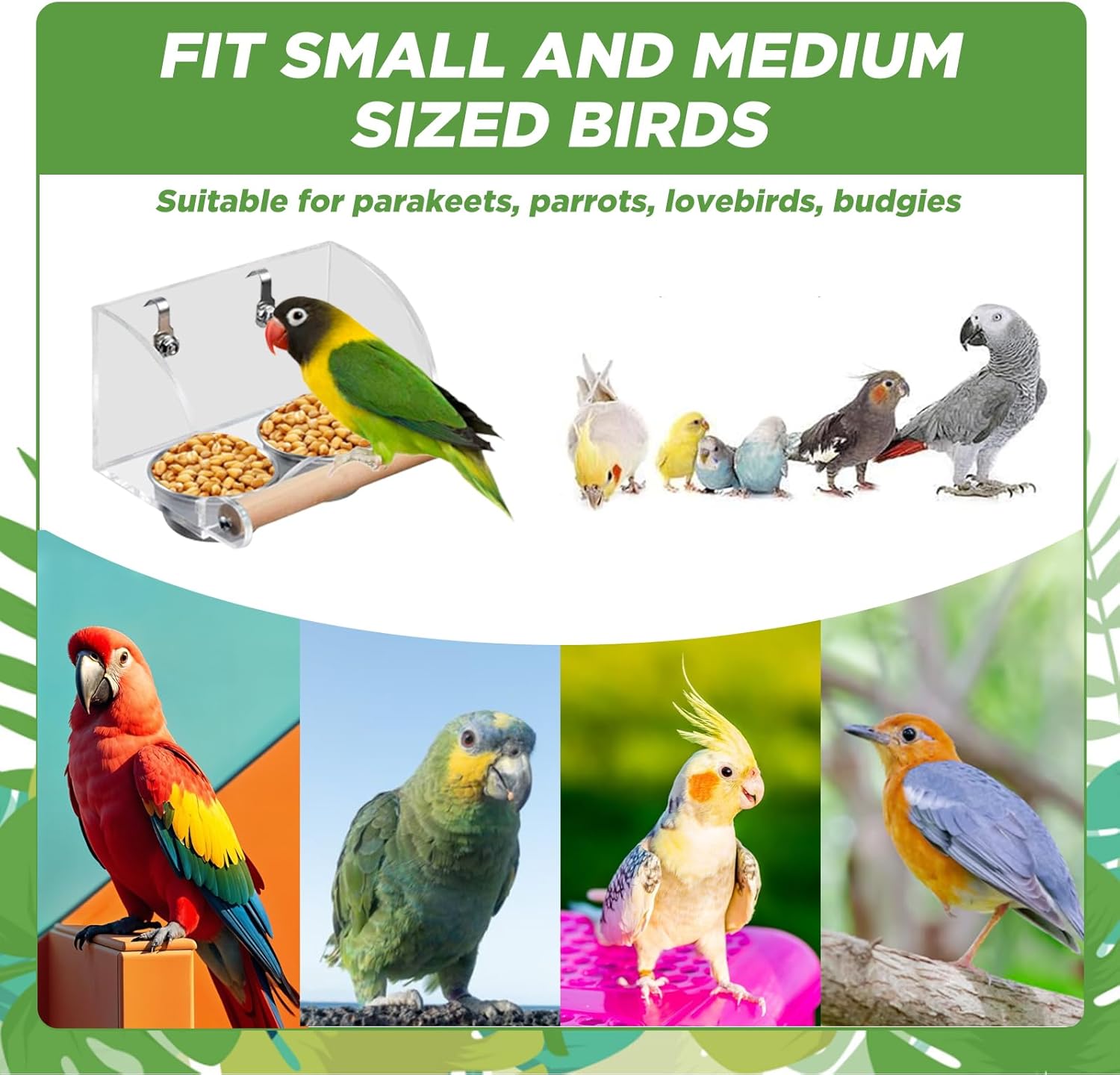 Product for small and medium-sized birds with images of various birds and text indicating suitability for parakeets, parrots, lovebirds, and budgies at Pet Servo