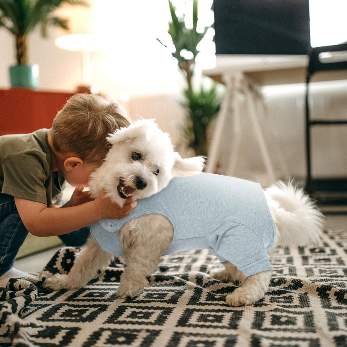 A small white dog wearing a light blue pet shirt is being kissed on the head by a young boy in an indoor living room setting.