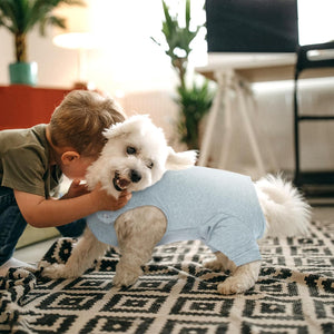 A small white dog wearing a light blue pet shirt is being kissed on the head by a young boy in an indoor living room setting.