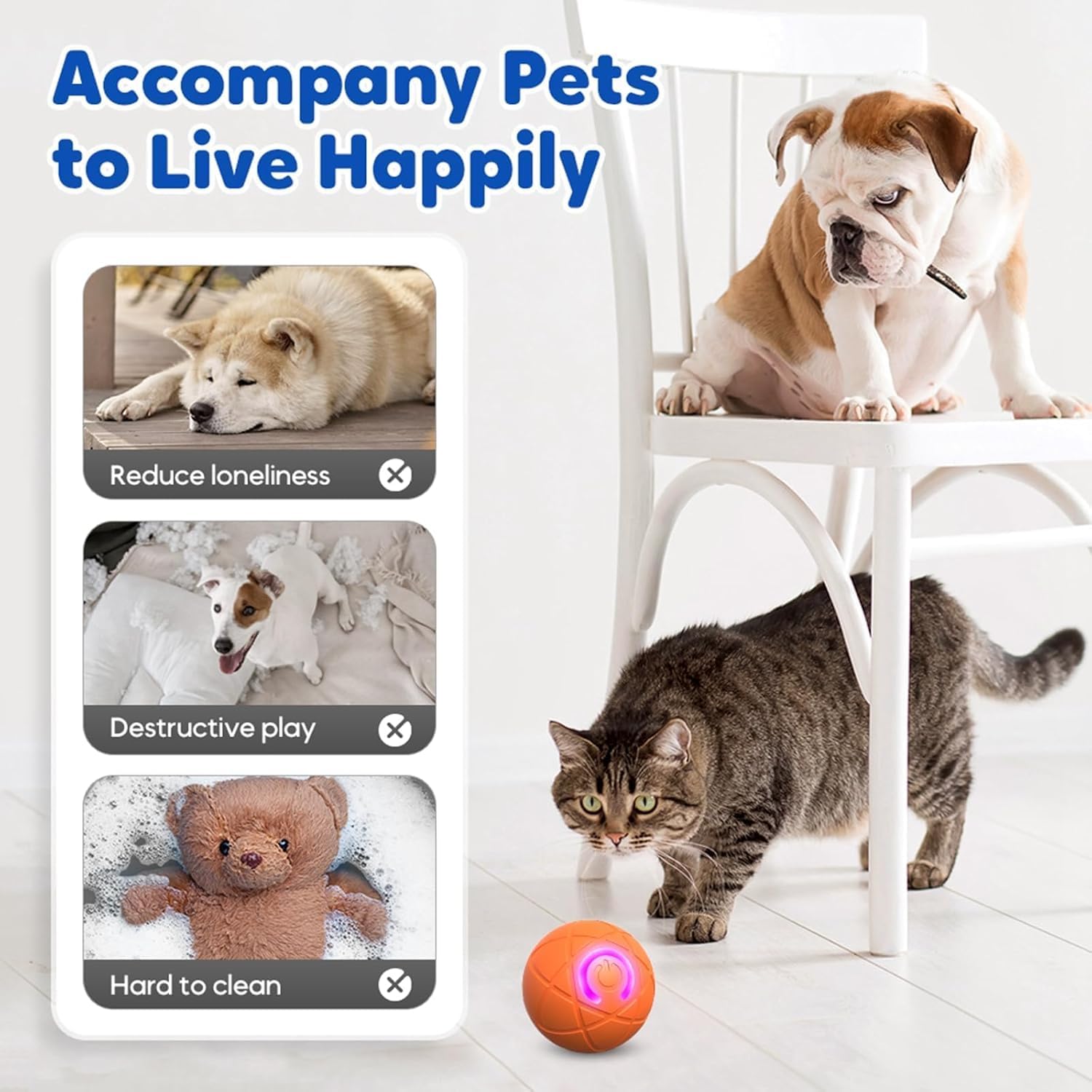 Product advertisement showing a dog and cat with text about pet companionship and a ball product at Pet Servo